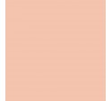 Ascona Rose 