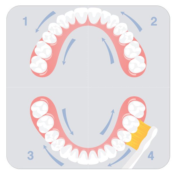 Очистка всех зубных поверхностей